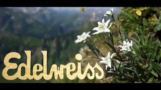 Edelweiss - By Arthur 75 Y Filmsong - From The Sound Of Music - From 1965