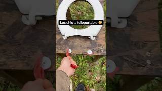 #jardinage #jardin #naturelovers #astuce #potager #garden #agriculture #permaculture