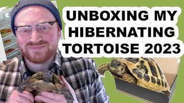 Unboxing my Hibernating Tortoise in 2023!