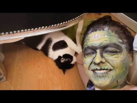 halloween cosplays and tupi