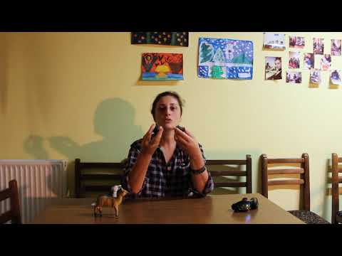 ცნების დამუშავება - სივრცეში ორიენტაცია