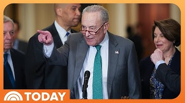 Democrats react to Schumer