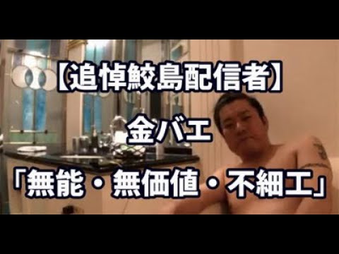 追悼鮫島配信者 金バエ 無能 無価値 ブサイク Youtube