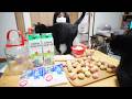 猫と一緒に果実酒を作る!見知らぬ野良猫がやってきた!