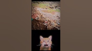 Give this video a title (wrong answers only) #shortsfeed #shorts_