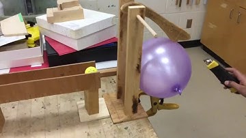 Best of Donview Rube Goldberg 2018