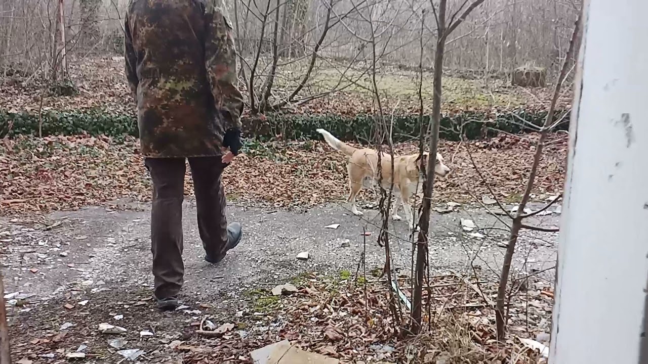 caserma Monte Cimone, spaccio e pizzeria. (Banne TS)