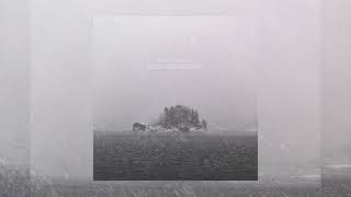 Sergey Cheremisinov - Amadines (Official Music)