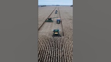 Corn Harvest In Iowa! #corn #cornfarming #farming
