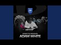 Perfecto presents adam white continuous mix