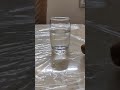 Coin Vs Paper Magic | Simple science experiments #experiment #ytshorts #viralshorts #youtubeshorts