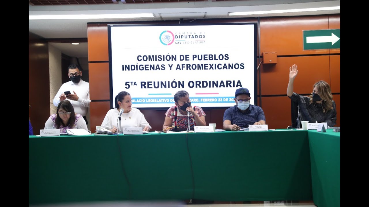 EN VIVO / Reunión de la Comisión de Pueblos Indígenas y Afromexicanos ...