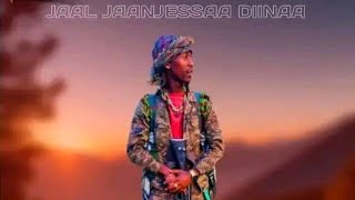 Jaal Jaanjessaa Diinaa RIPHAA KOO New oromo music 2024( Video)