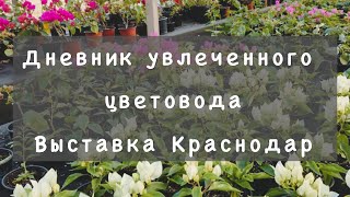 Выставка цветов, Краснодар.