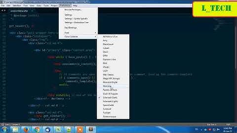 Sublime Text Themes and Color Schemes