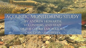 Brook Trout Acoustic Telemetry Study