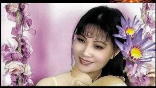 Hoai Linh Manh Phat Noi Buon Gac Tro Phuong Vu To Thanh Tung Nhat Truo