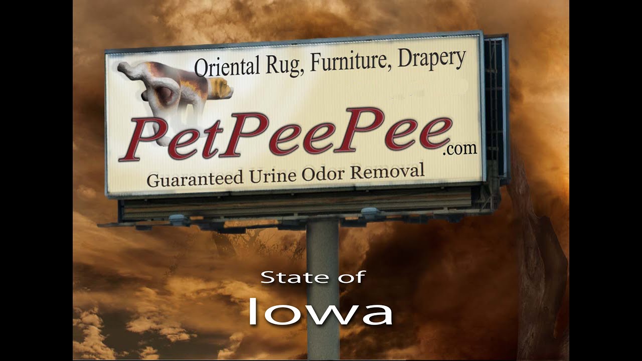 Our rug cleaning process PetPeePee® company