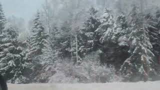 Belarus  Winter #shortsvideo by Life and nature as it is 65 views 4 months ago 21 seconds
