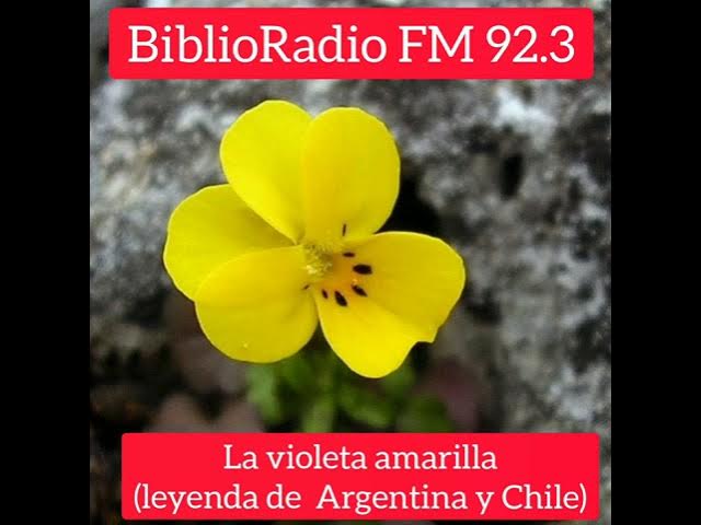 La violeta amarilla, leyenda mapuche de Argentina y Chile - YouTube