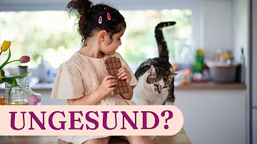 Können Katzen von Schokolade blind werden?