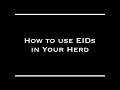 Using EIDs in Your Herd