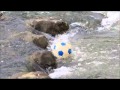 流れの中のサッカーボール