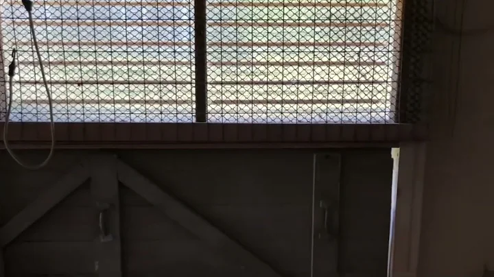 Celibate Hen Loft Tour and  Hen Pigeon Racing Info...