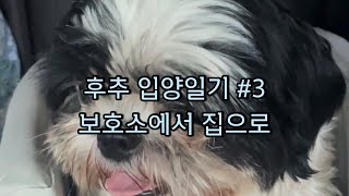 [후추 입양일기 3] 보호소에서 집으로 | 가족이된걸 환영해 후추야