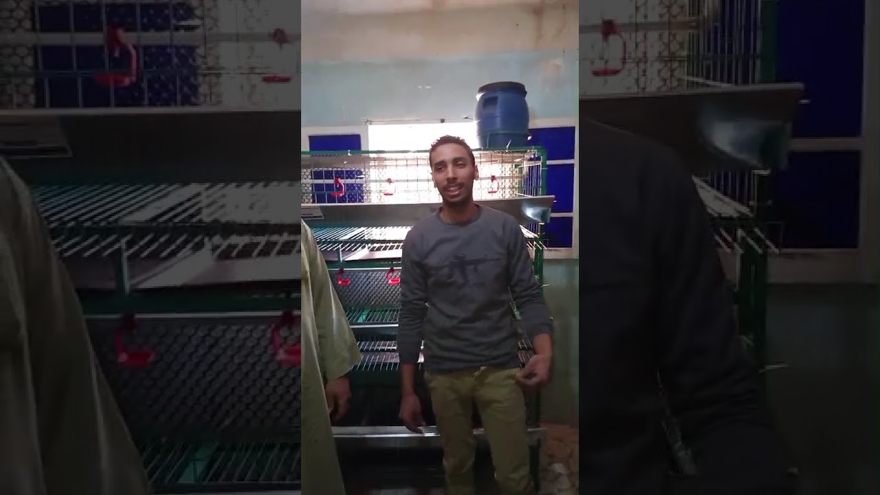 للتواصل معنا للاستفسار 01144468971