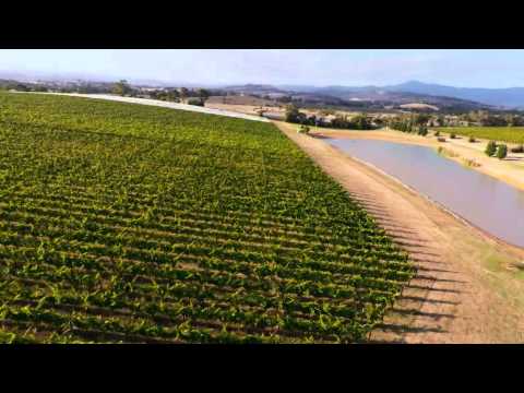 Qantas epiQure presents Producer to Plane: Oakridge Wines