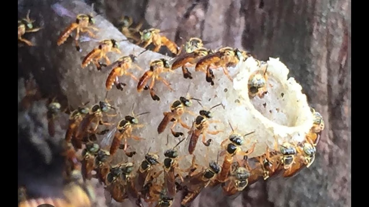 Revisão de Dezembro