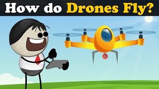 How do Drones Fly? + more videos | #aumsum #kids #science #education #children