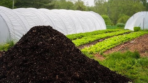 The Four Types of Compost (and how they