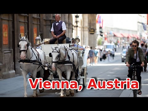 Video: Thời điểm tốt nhất để đến thăm Vienna