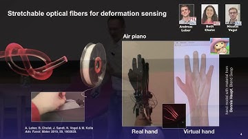 Colorful Bio-Inspired Materials