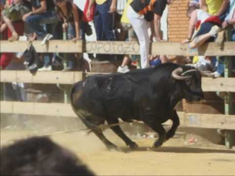 san marcos 2009 arroyo del ojanco