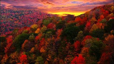 Damascus - Schematics