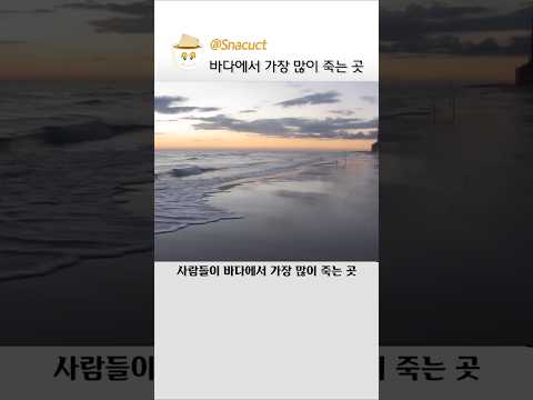 바다에서 상어보다 무서운 것 thumbnail
