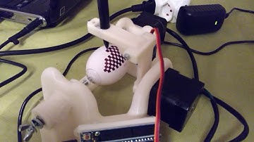 Raspberry Jam Schweiz: Schachbrettmuster auf Ei