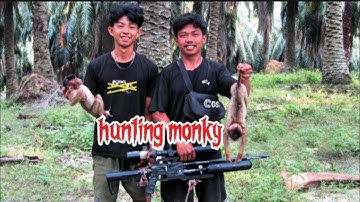 PEST CONTROL‼️ hama beruk dan monyet liar