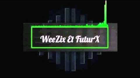 Intro WeeZix et FuturX
