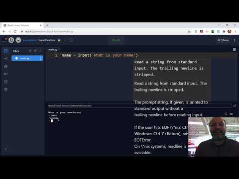 Using the Input Function in Python - YouTube