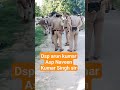 Capture de la vidéo Dsp Arun Kumar Nahwar Sir Aur Asp Naveen Kumar Singh Sir