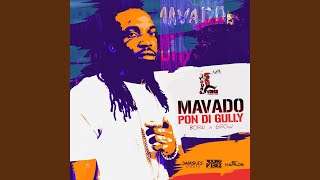 Pon Di Gully (Born & Grow)