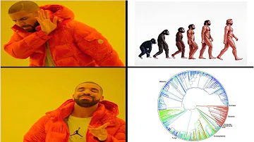 ¿Por qué sigue habiendo simios si evolucionamos?