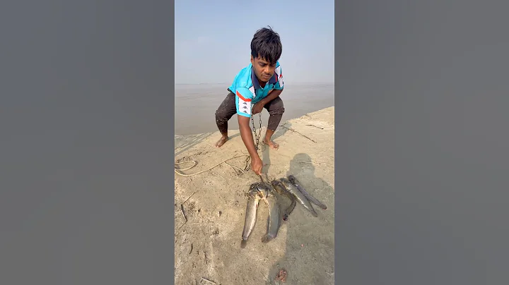 Amazing bait throwing method by hook with catfish 9  #fishinglife  #bait