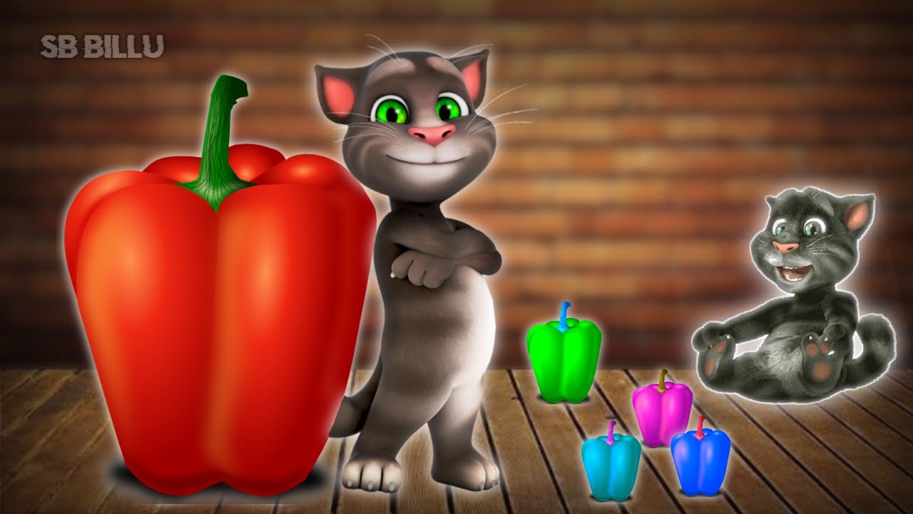 Talking TOM Billu eating colourful capsicum 🐈🐈/ 