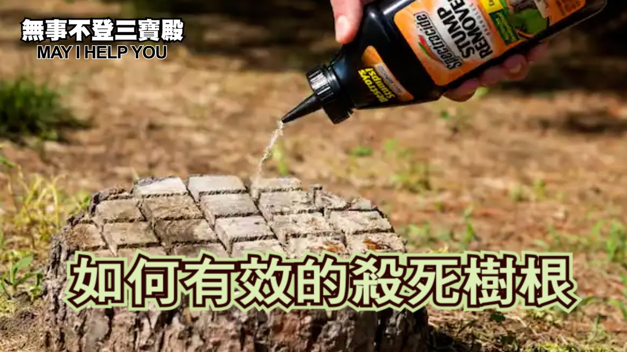 如何有效的殺死樹根 - YouTube