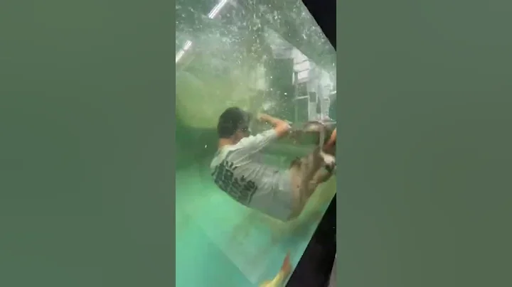 Attacked by electric Fish! #shorts